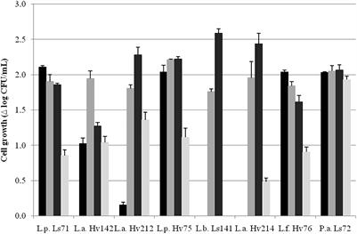 Isolation, Characterization and Performance of Autochthonous Spray Dried Lactic Acid Bacteria in Maize Micro and Bucket-Silos